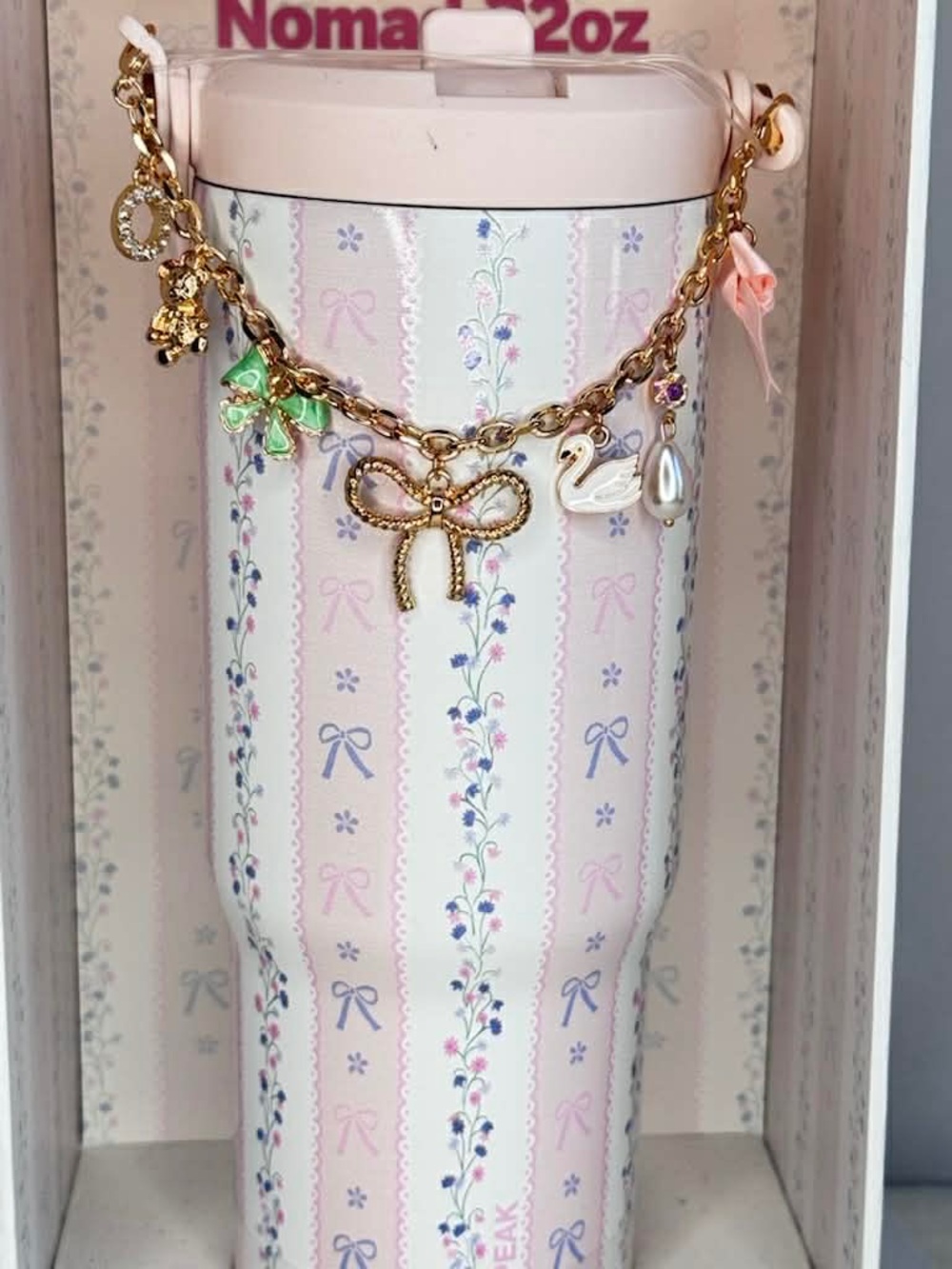 Mother’s Day Gift! Hydrapeak Nomad 32 oz Charmed Editon Pink Bow Floral